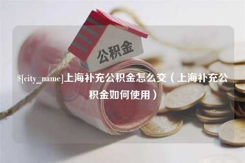 嘉峪关上海补充公积金怎么交（上海补充公积金如何使用）