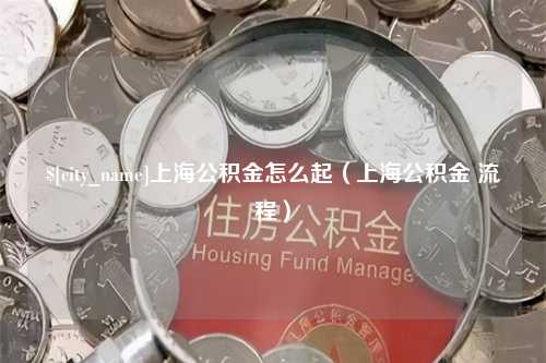 嘉峪关上海公积金怎么起（上海公积金 流程）